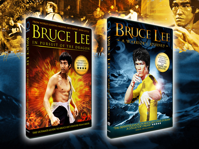 bruce in pursuit of the dragon a warrior's journey