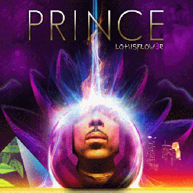 prince-lotusflower3-mplsound-elixer1